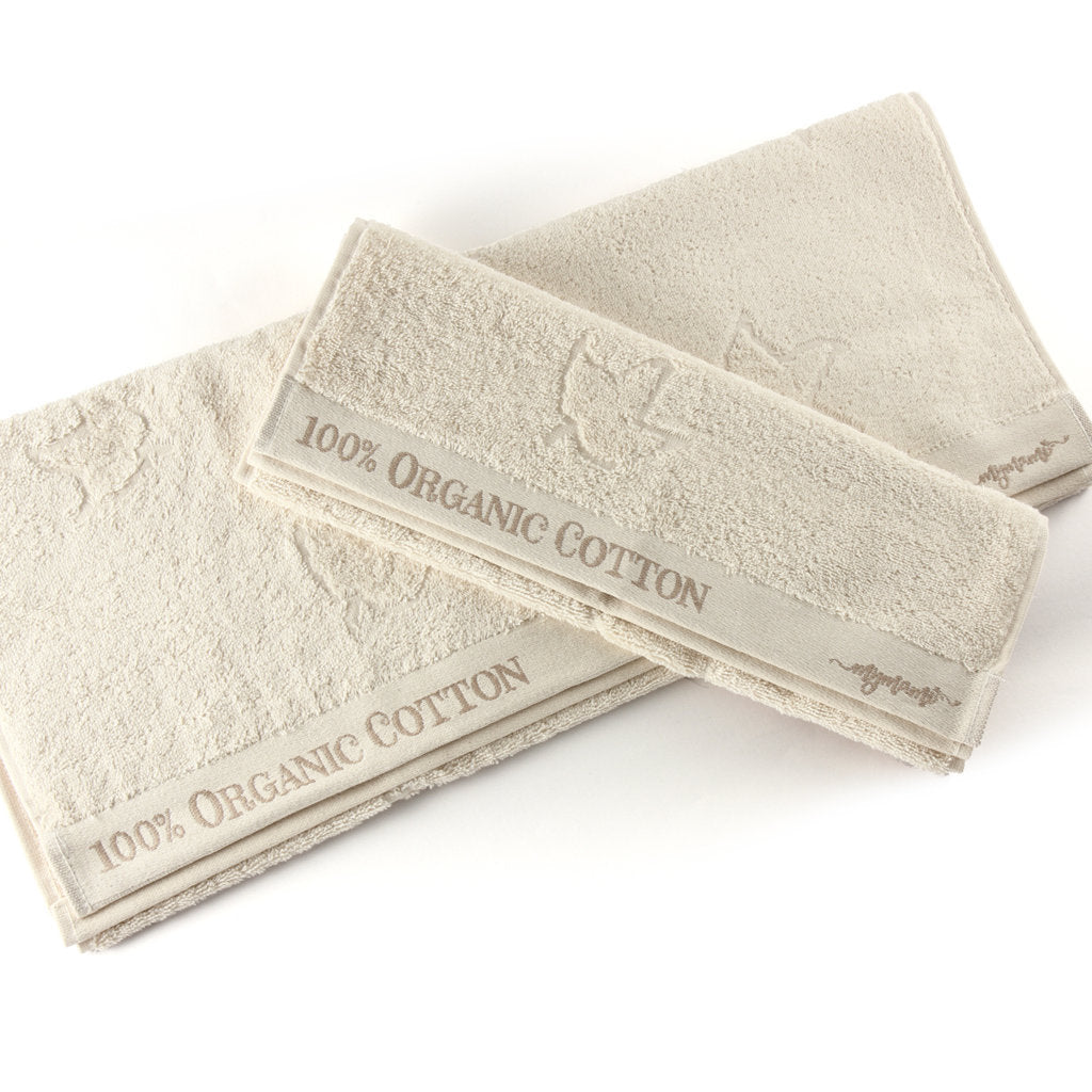 Coppia Spugna - Spugna e Cotone