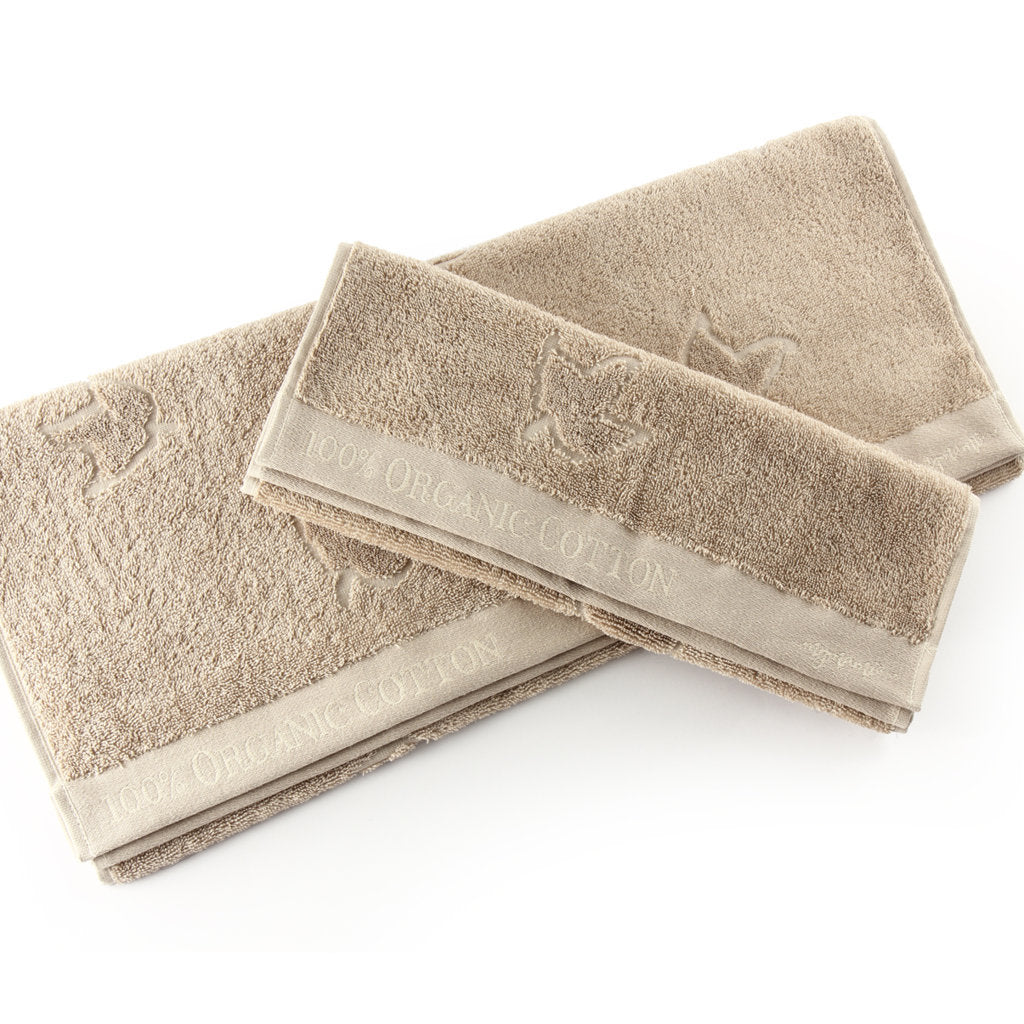 Coppia Spugna - Spugna e Cotone